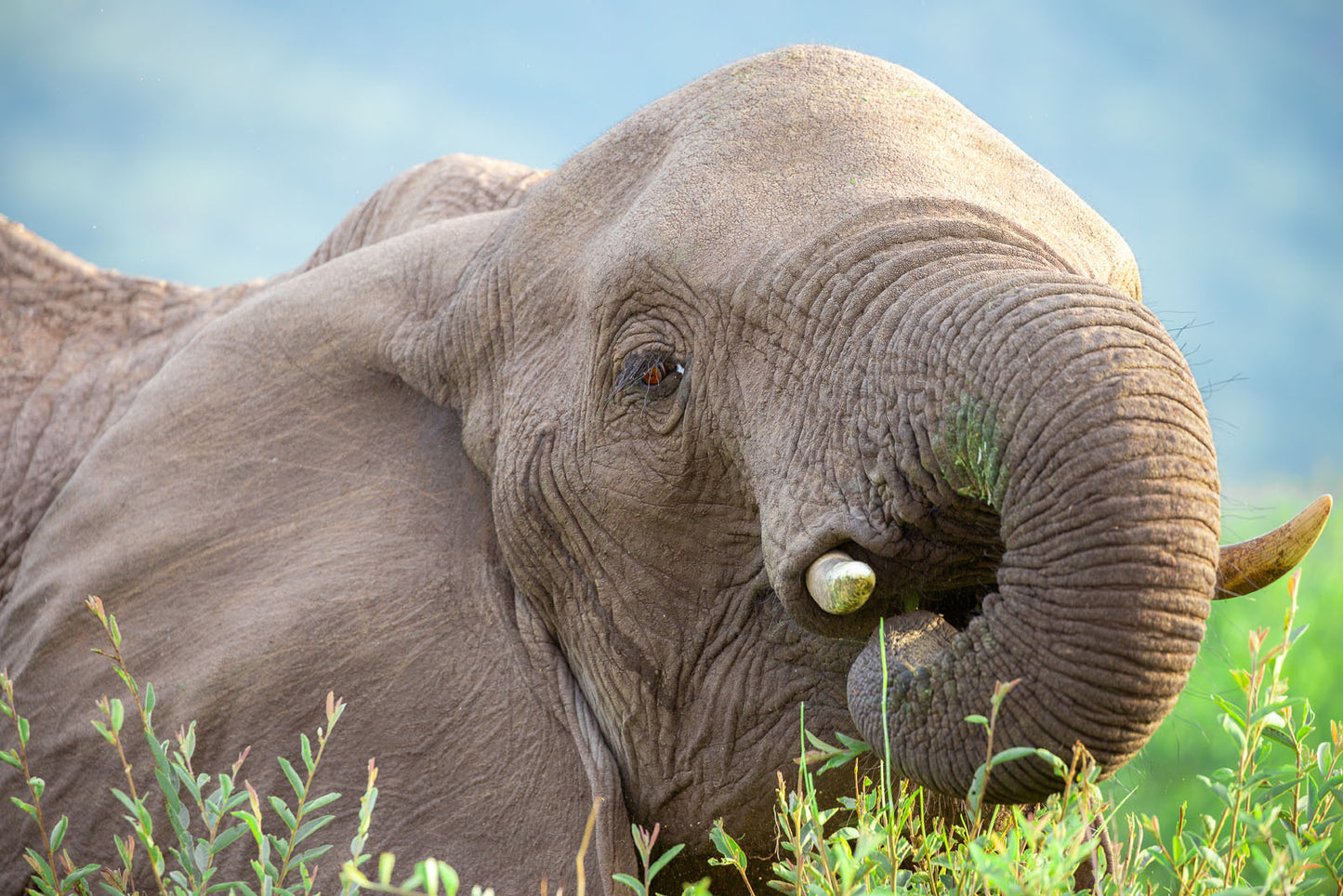 WL025
