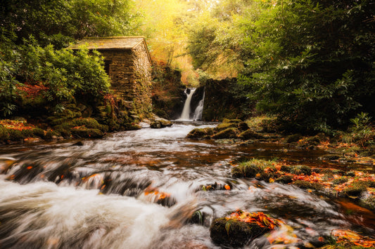 Don't Go Chasing Waterfalls